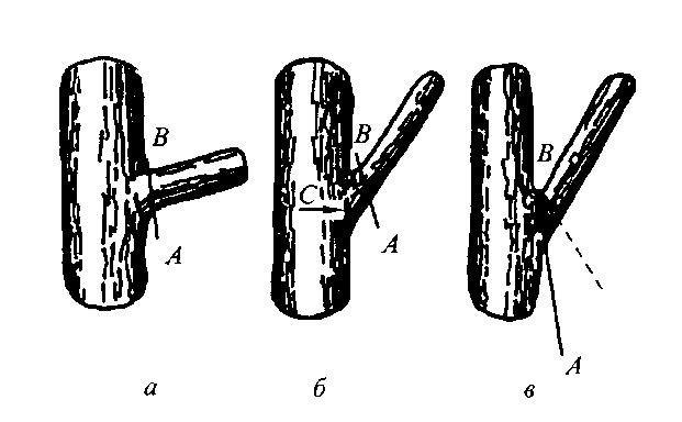 Определение правильного направления среза