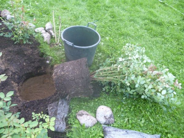 посадка в контейнере