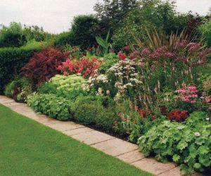 Миксбордер Миксбордер