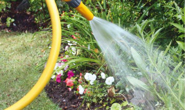 Полив растений