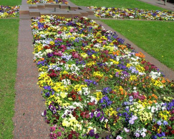 Рабатка Рабатка