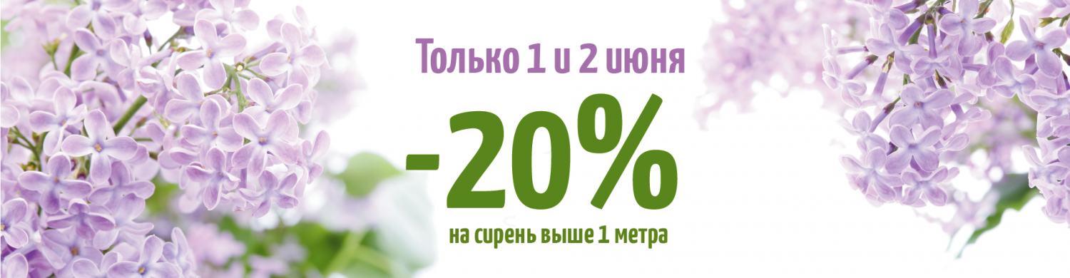 Скидка на сирень 20%