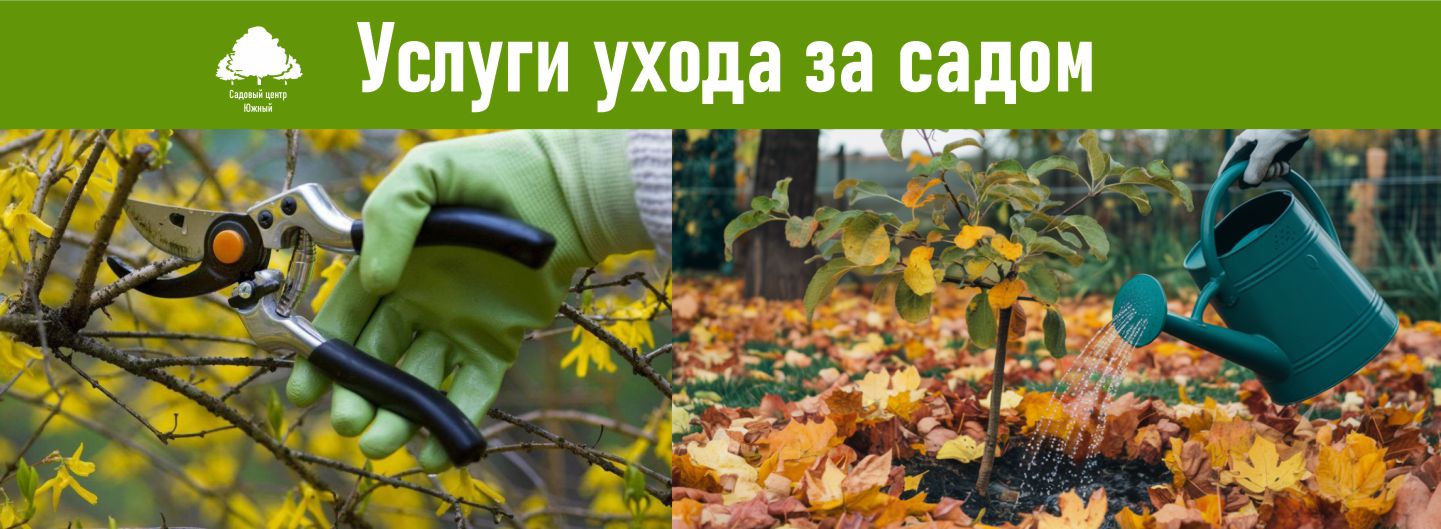 услуги ухода за садом.jpg