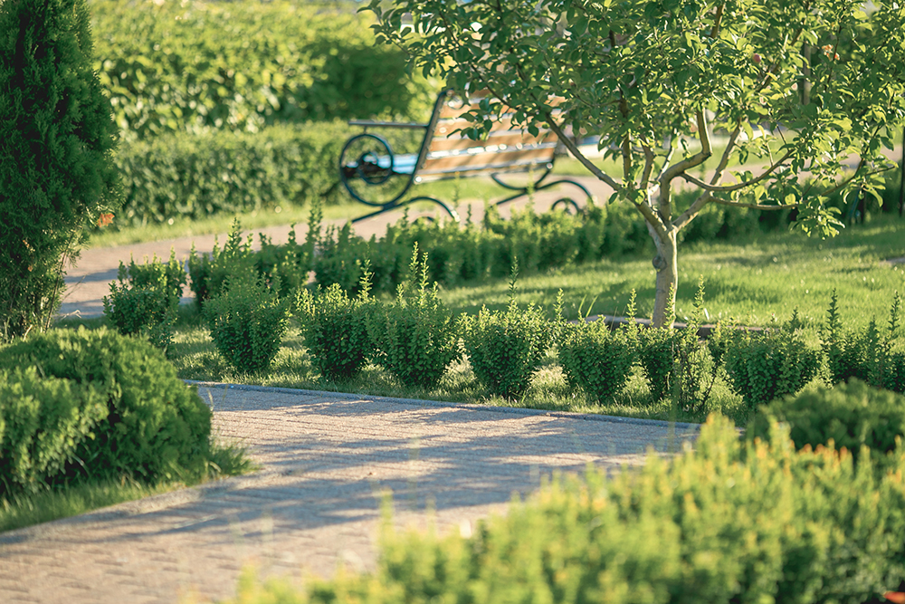 Садовый центр Южный осенью