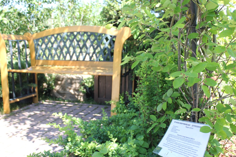 лечебная зона в южном