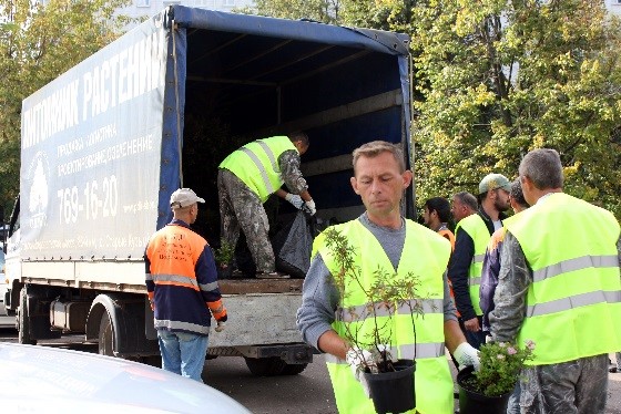 Подготовка