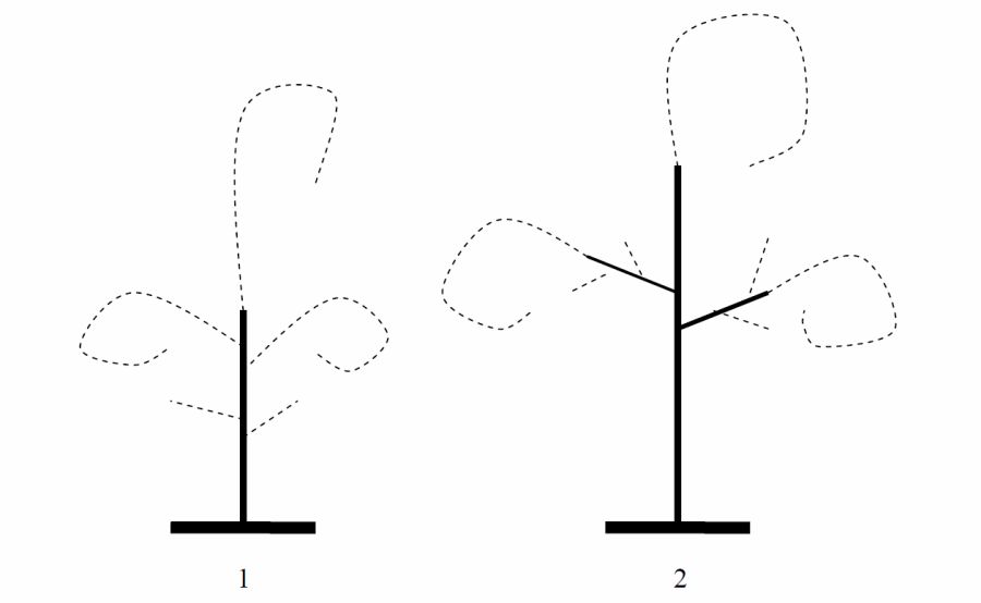 Рисунок №1. Обрезка