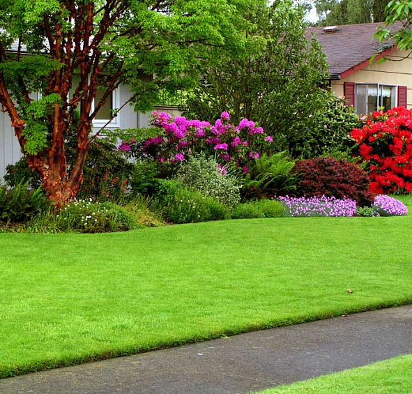 Газон рулонный Универсальный