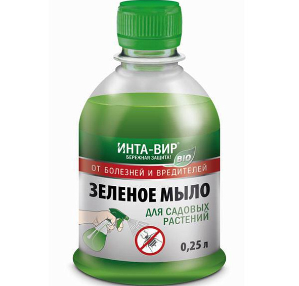 Зеленое мыло, Инта-Вир