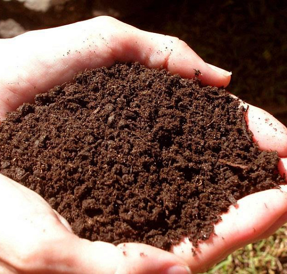 Компост конский