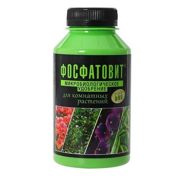 Фосфатовит для комнатных растений