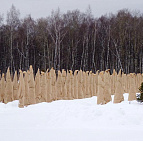 Фотоальбом Укрытие туй от зимних солнечных ожогов Укрытие туй, садовый центр "Южный". Фото 15.