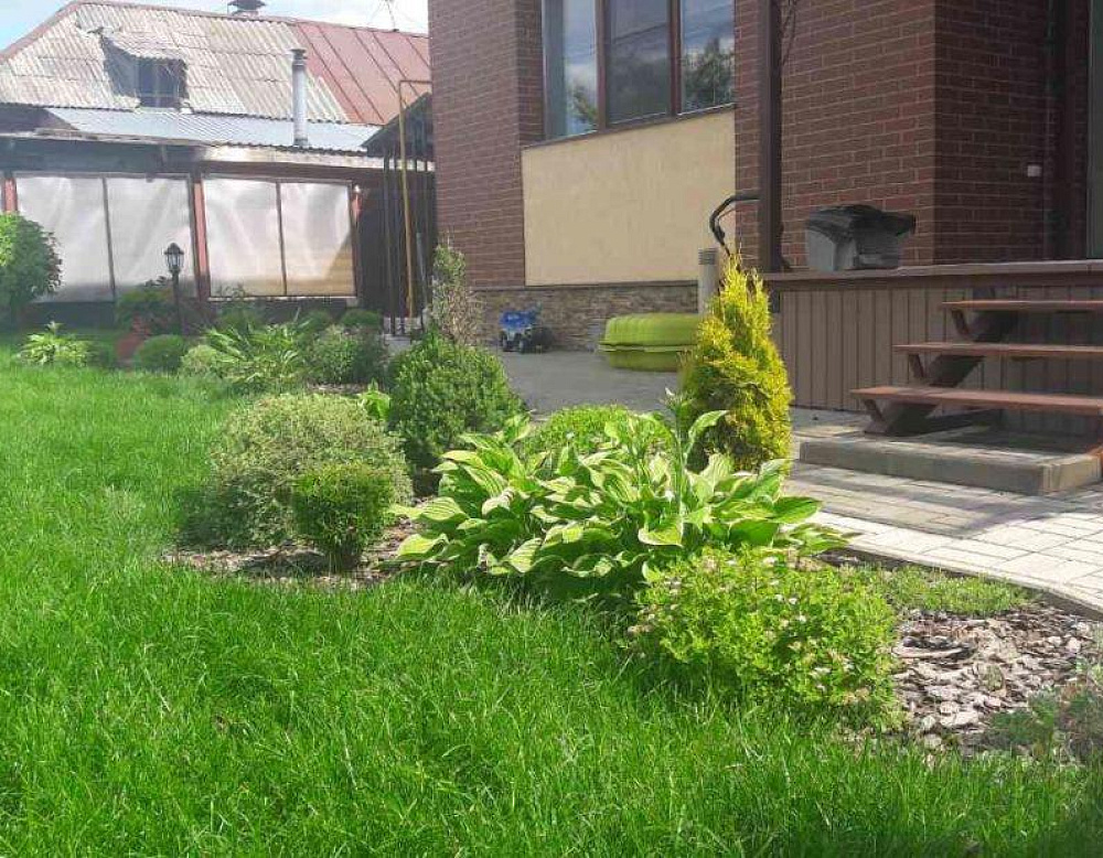 Елена Ведерникова – проект «Европейский дворик» – садовый центр «Южный» газон