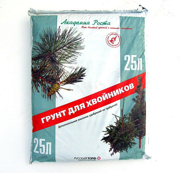 Грунт для хвойных растений