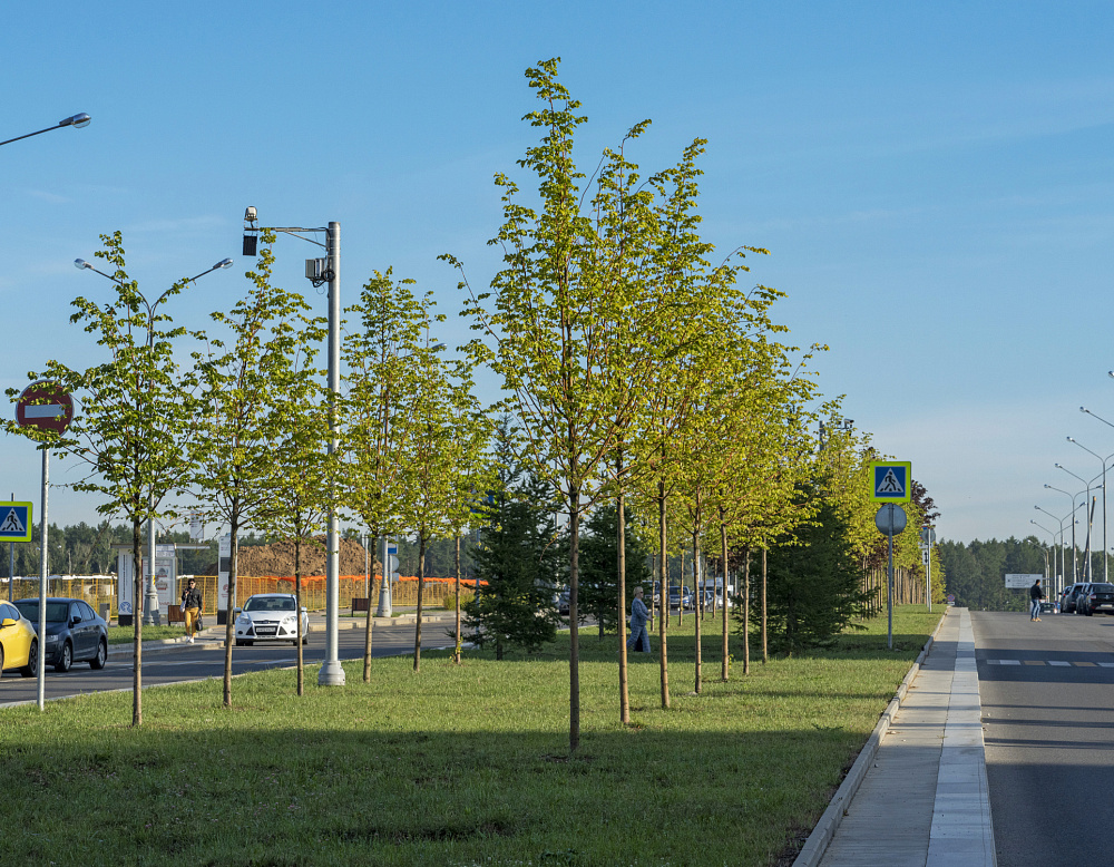 Благоустройство территории Административно-делового центра в п. Коммунарка – Южный Комунарка4