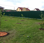 Портфолио: Коттеджный поселок Старые Кузьменки, ДНТ Берег 22 сотки Посадка сада на участке