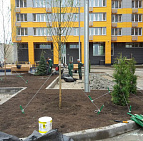 Благоустройство территории ЖК в г. Видное – Южный Благоустройство двора