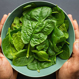 Семена Шпинат витязь