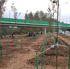 Благоустройство участка Рублево-Успенского шоссе – Южный Готовая работа