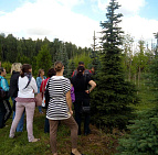 Фотоальбом Итоги семинара по хвойным растениям 23.07 Итоги семинара по хвойным растениям 23.07