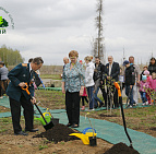 Фотоальбом Сирень ПОБЕДЫ 2015 Сирень ПОБЕДЫ 2015