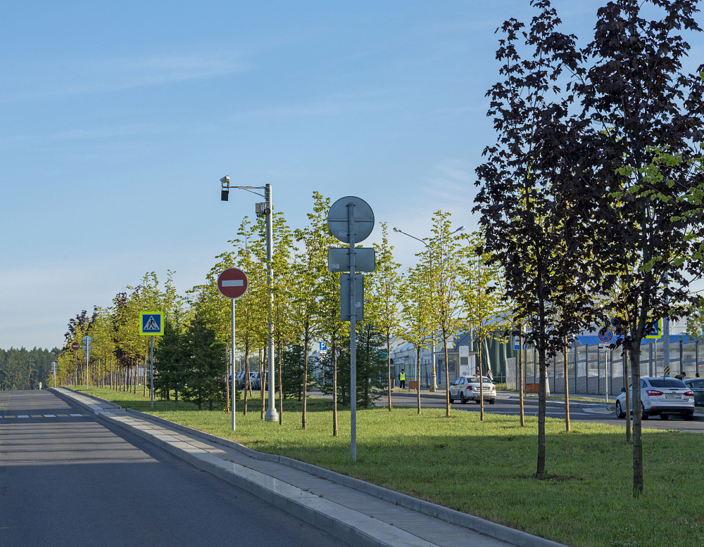 Благоустройство территории Административно-делового центра в п. Коммунарка – Южный Комунарка5