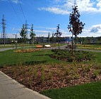 Благоустройство территории ОЭЗ «Технополис «Москва» – Южный Озеленение Технополис