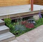 Галерея проектов: Чеховский район КП Финская деревня, участок 20 соток Кустарник