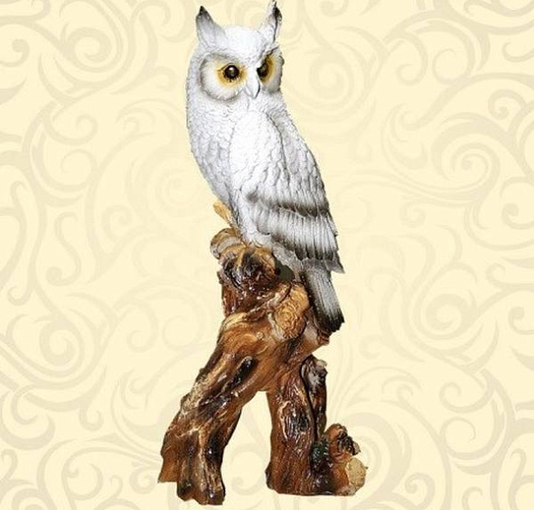 Филин на пне F01215