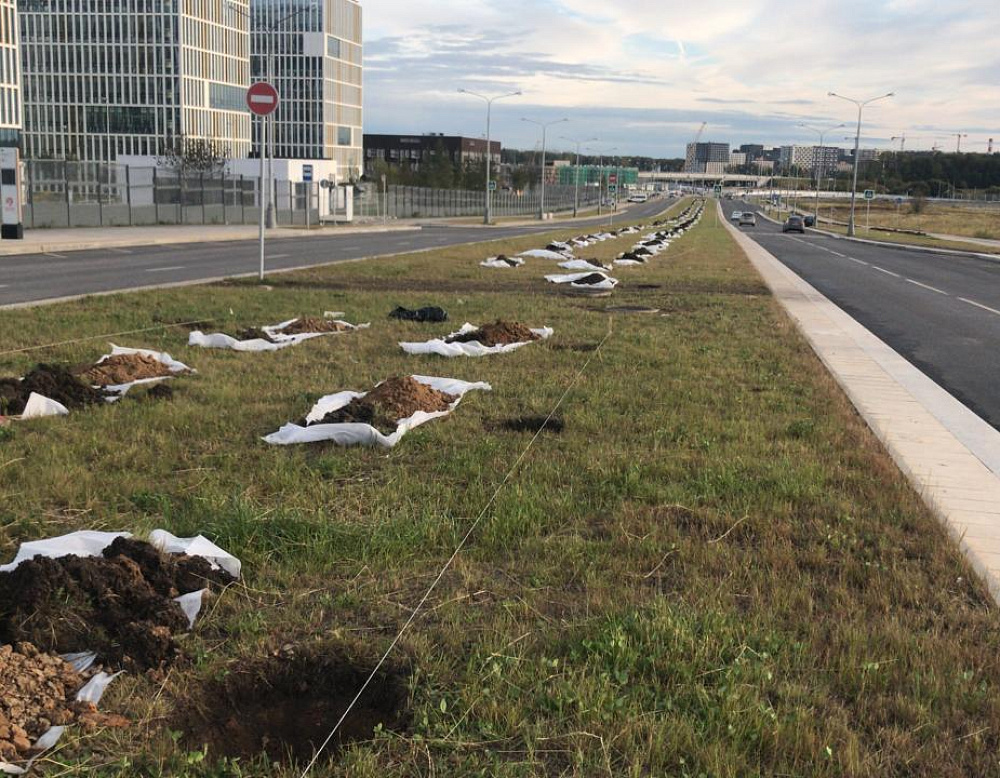 Благоустройство дорожного участка в посёлке Комунарка – Южный Озелеленение Комунарка