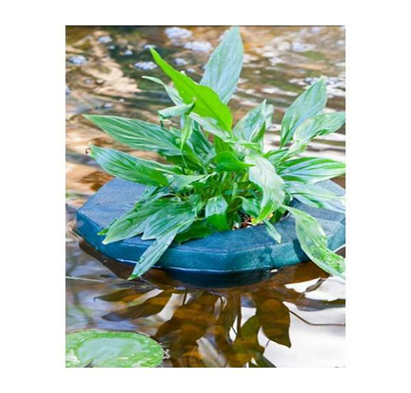 Корзина для Водных растений TZ плавающая 