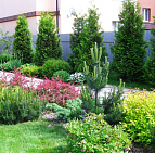 Ландшафтный дизайн: Готовый проект участка 15 соток КП в г. Чехов | Садовый центр растений Южный izgorod-iz-tui