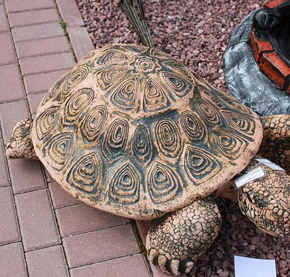 Черепаха большая закрытая