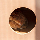 Фотоальбом День работника торговли 2014 День работника торговли 2014