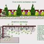 Елена Буренина – проект «Разноцветный уютный мир» – садовый центр «Южный» Миксбордер с туями