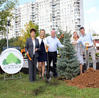 Благоустройство территории возле памятника в Южном Чертаново г. Москва – Южный Руководство района Чертаново