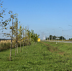 Благоустройство путепровода на ул. Гагарина, г. Домодедово – Южный Домодедово1