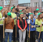 Фотоальбом Наш лес. Посади дерево 2015 5