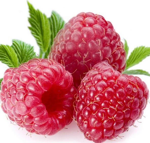 Малина 'Бриллиантовая'