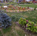 Фотоальбом Выставка Open Villadge 2017 Фото с выставки Open Village 2017 Южный