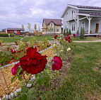 Фотоальбом Выставка Open Villadge 2017 Фото с выставки Open Village 2017 Южный