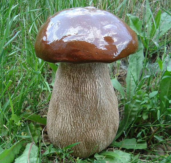 Шамотная фигура "Гриб"