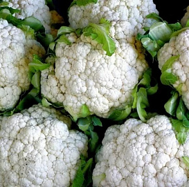 Капуста цветная 'Снежный шар'