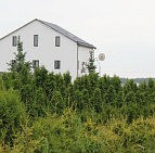 Фотоальбом Садовый центр Южный, 2012 г. Садовый центр Южный, 2012 г.