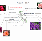 Дмитрий Миронов – проект коттеджного участка – садовый центр «Южный» Розарий