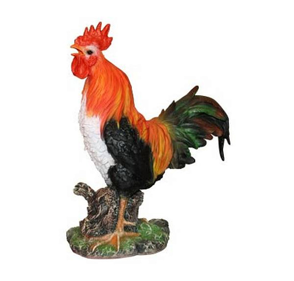 Петух на камне F07781