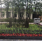 Благоустройство территории парка Северного речного вокзала г. Москва – Южный Территория Северного речного вокзала