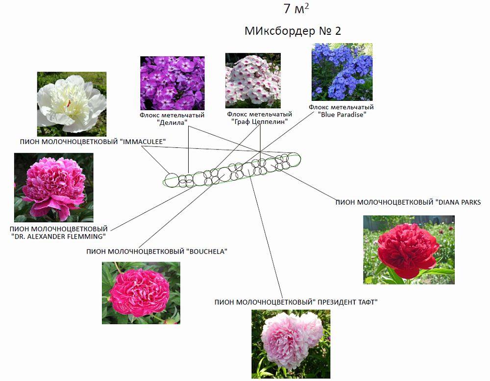 Дмитрий Миронов – проект коттеджного участка – садовый центр «Южный» Микс-бордер из пионов и флоксов