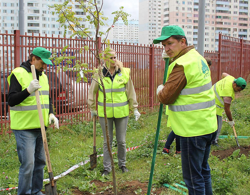 Фотоальбом Наш лес. Посади дерево 2015 16