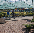 Фотоальбом Праздник Бабье лето 10 сентября 2016 Праздник сентября Бабье лето